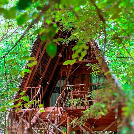 Habarana Tree House Ambasewana Resort Εξωτερικό φωτογραφία