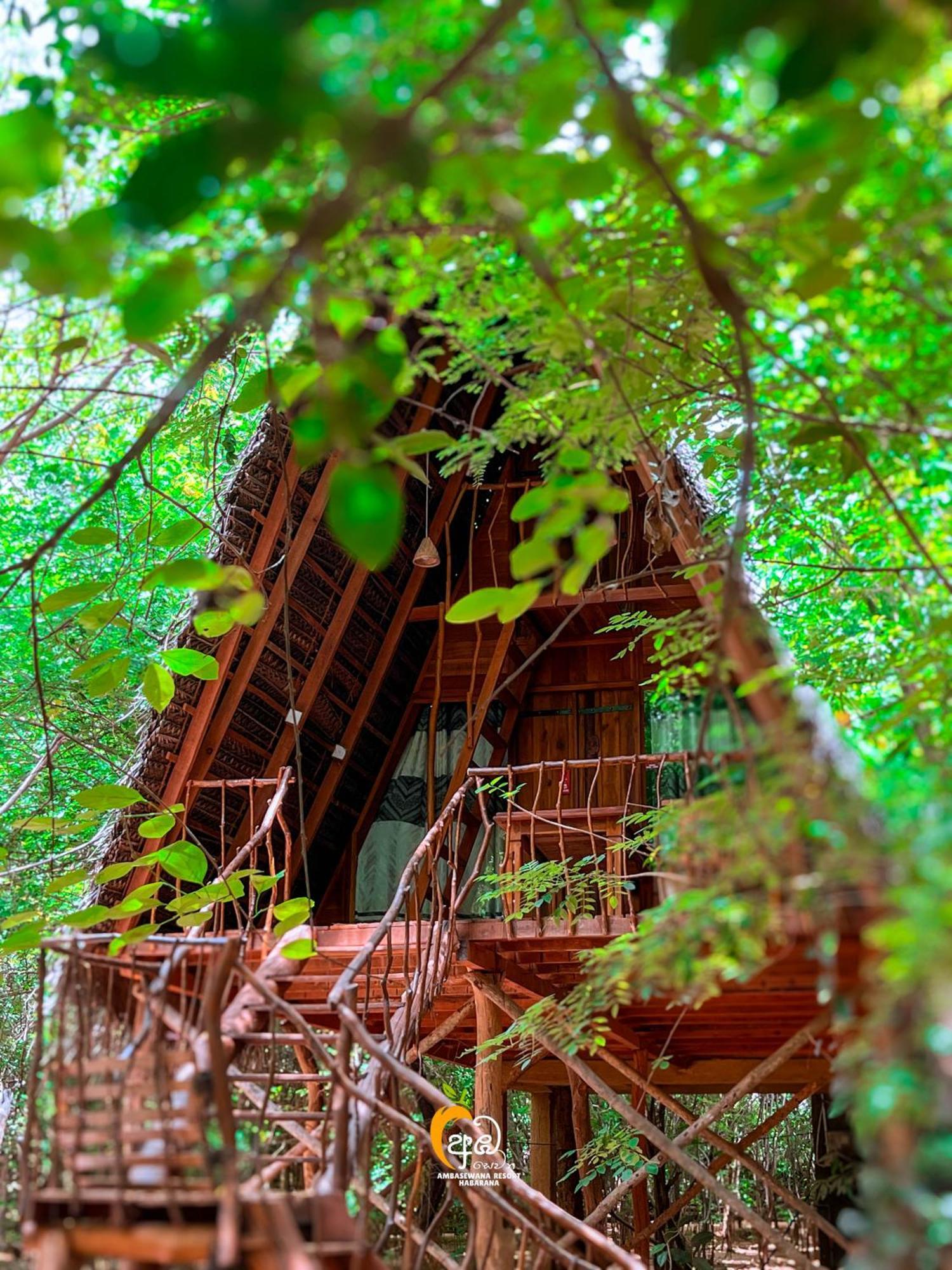 Habarana Tree House Ambasewana Resort Εξωτερικό φωτογραφία