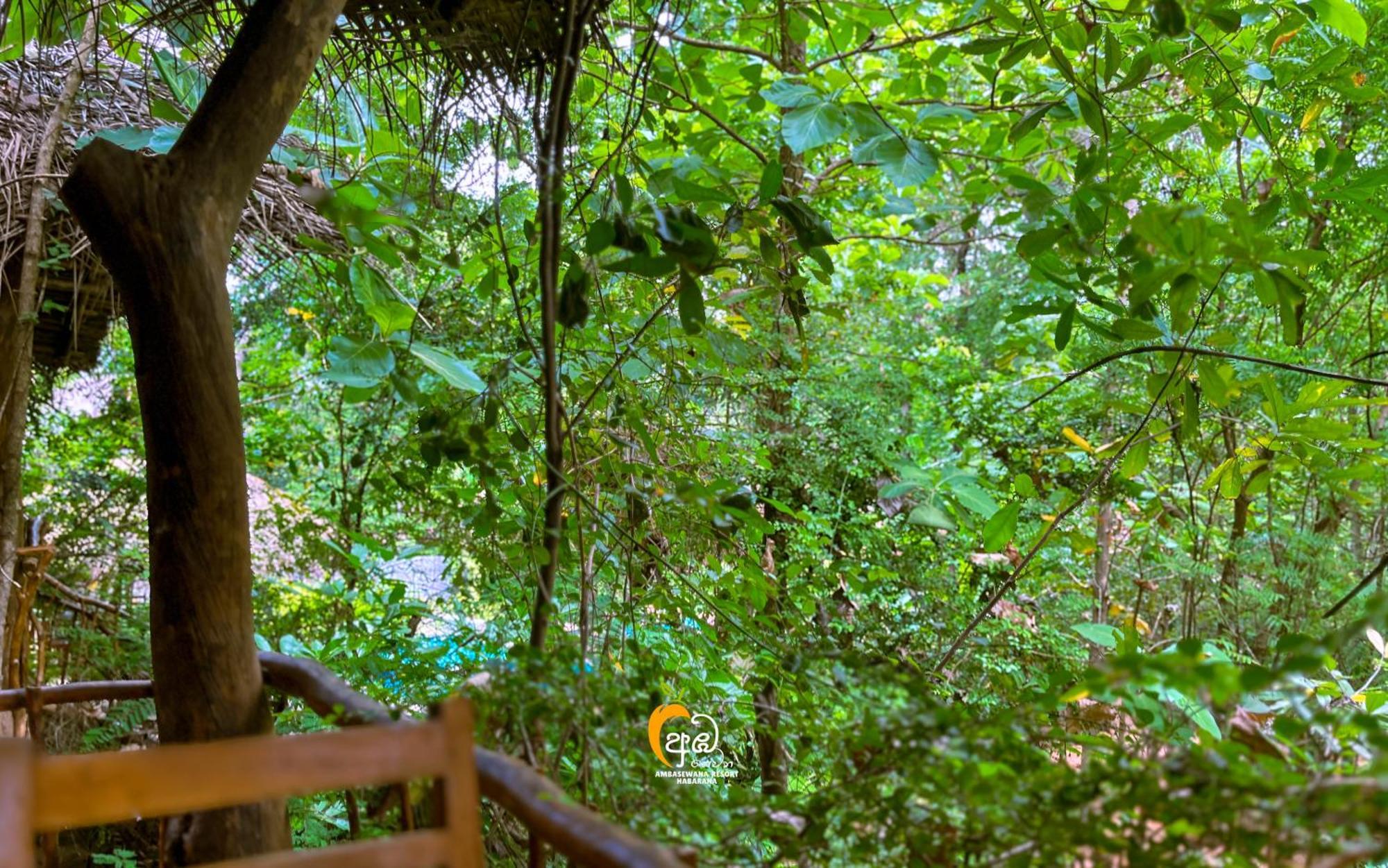 Habarana Tree House Ambasewana Resort Εξωτερικό φωτογραφία