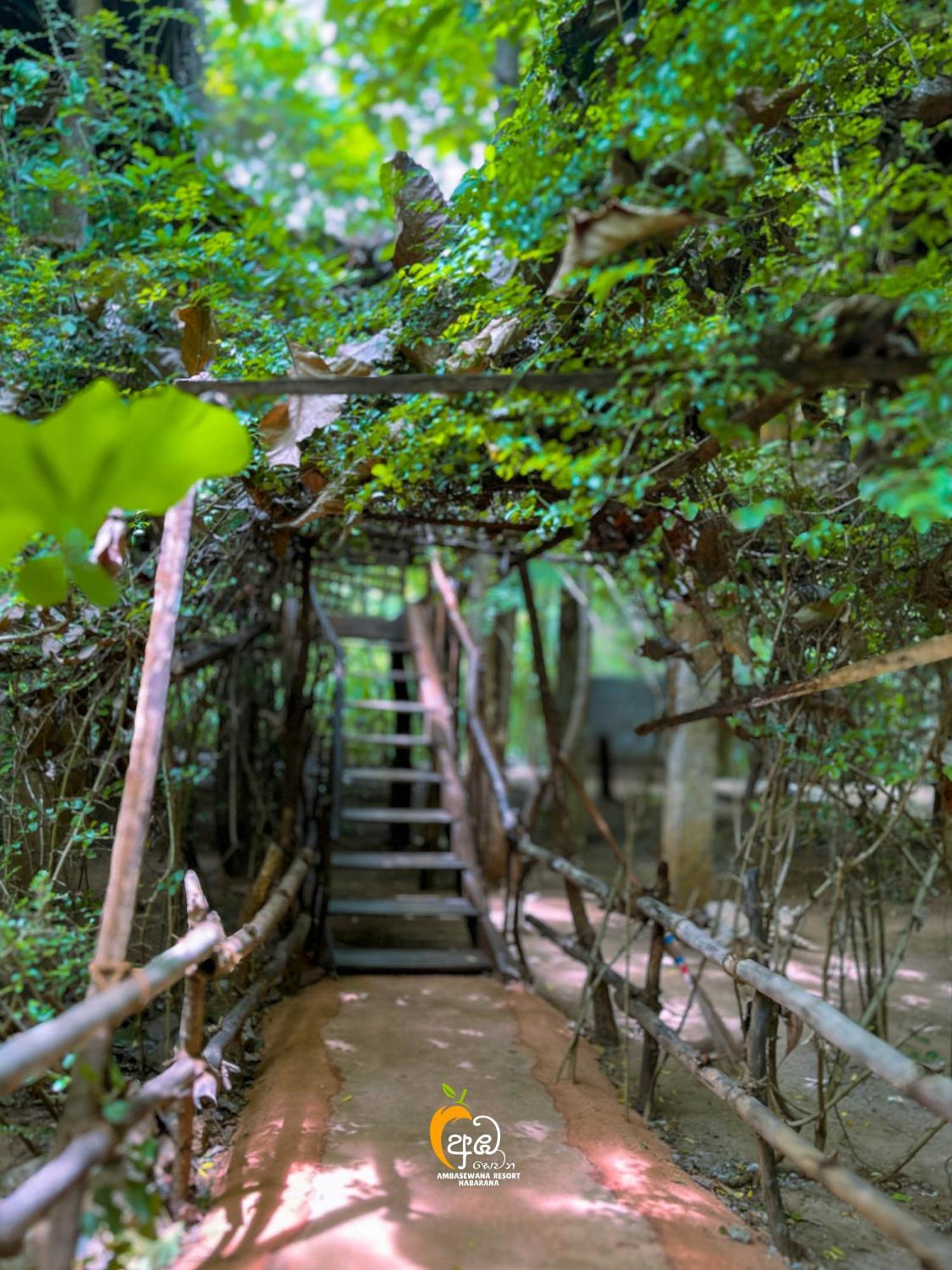 Habarana Tree House Ambasewana Resort Δωμάτιο φωτογραφία