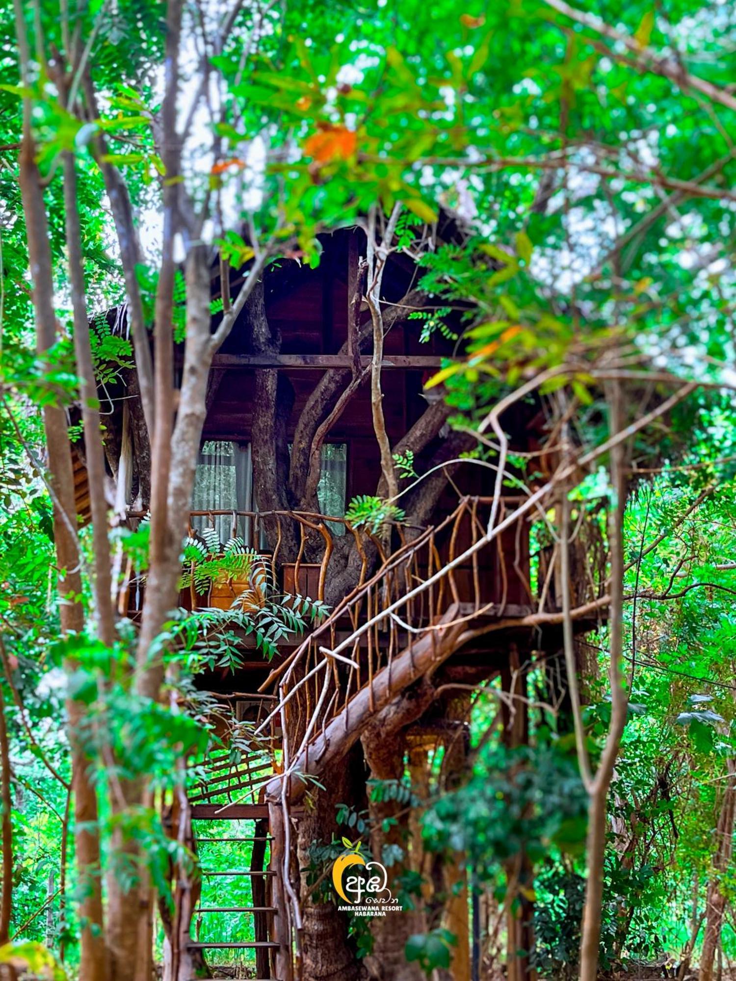 Habarana Tree House Ambasewana Resort Εξωτερικό φωτογραφία