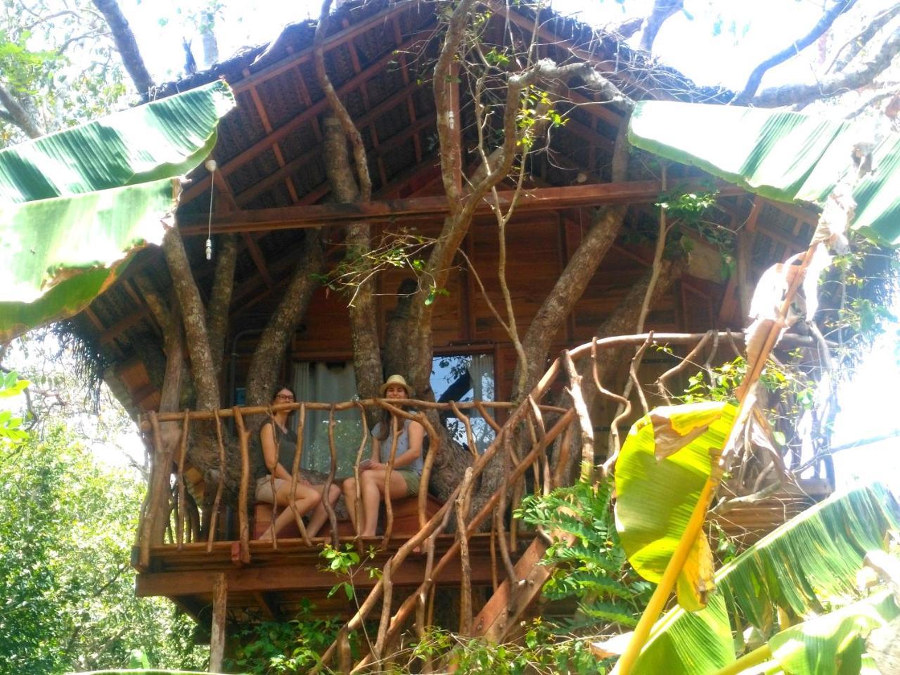 Habarana Tree House Ambasewana Resort Εξωτερικό φωτογραφία